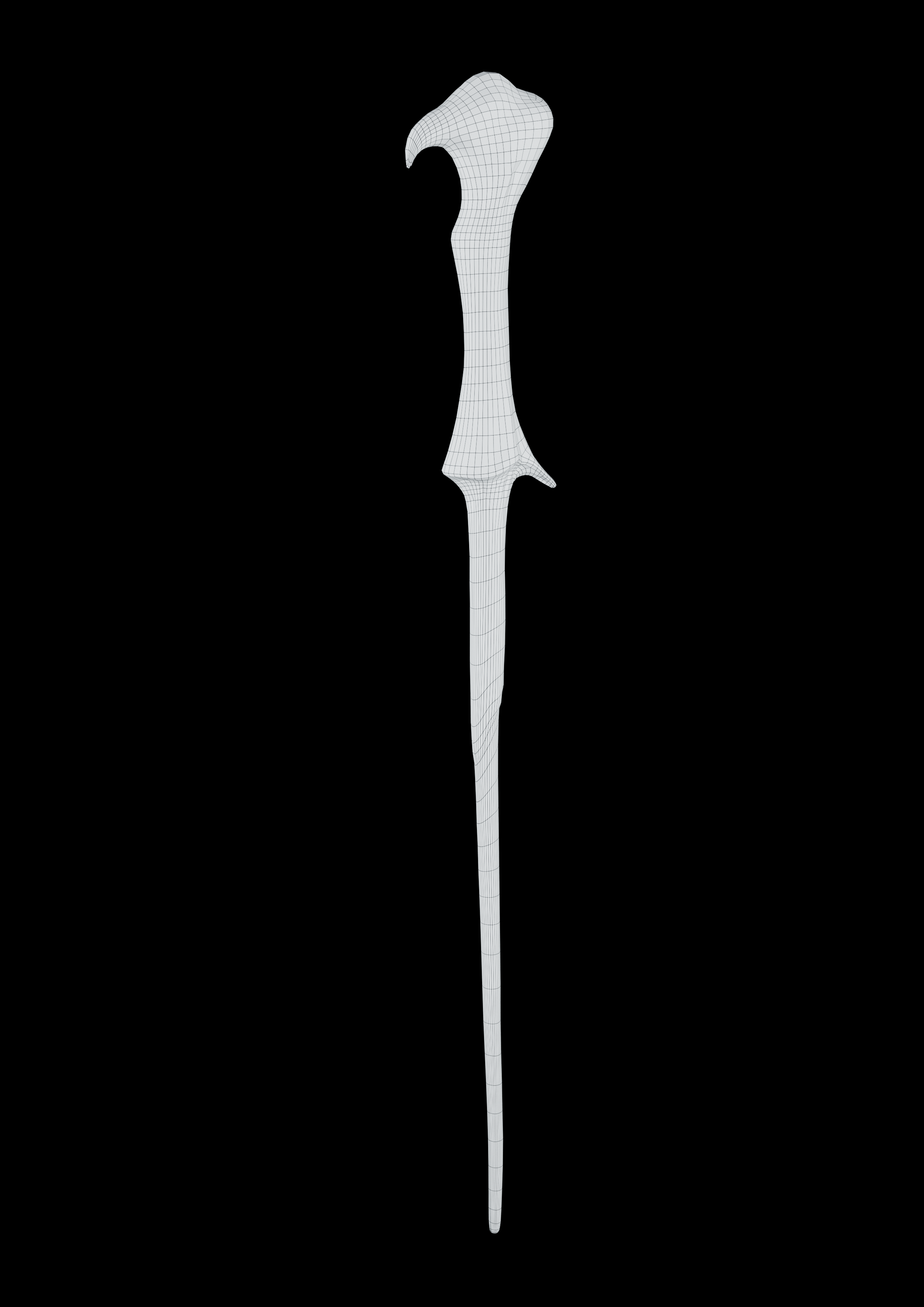 WAND VOLDMORT wireframe